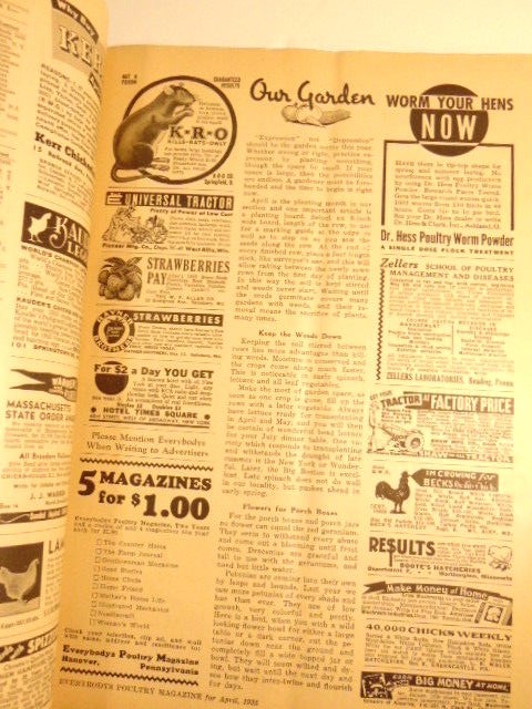 April 1935 Everybodys Poultry Magazine with ads and articles for poutry farmers.
