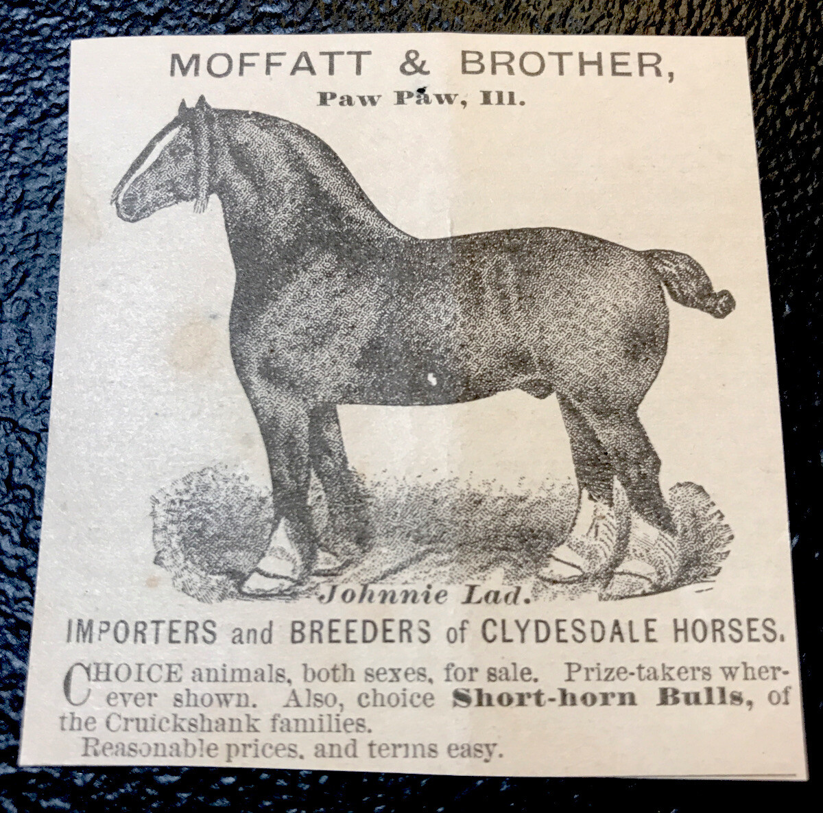 1883 Moffatt & Brother Horse Advertising – Paw Paw – Illinois