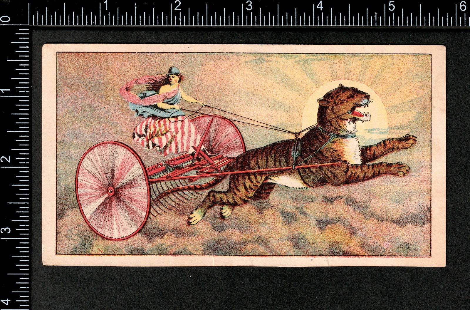 Columbia 1800s Patriotic Tiger Horse Rake Childs Farm Equipment Advertising j.US