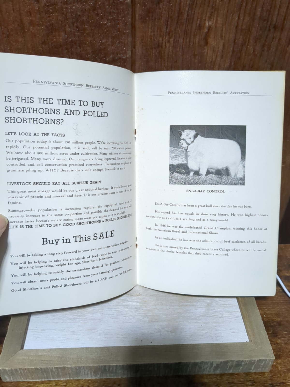 Vintage Shorthorn Cattle Auction Booklet Butler Pa Pennsylvania Breeders 1950