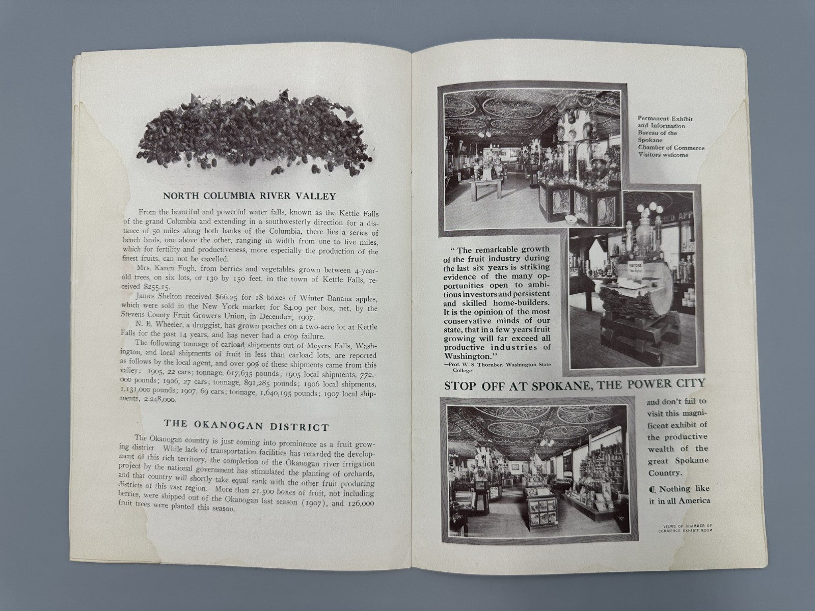 1908 SPOKANE COUNTRY Farming APPLE ORCHARD Fruit HOLT STEAM ENGINE Chamber MAP