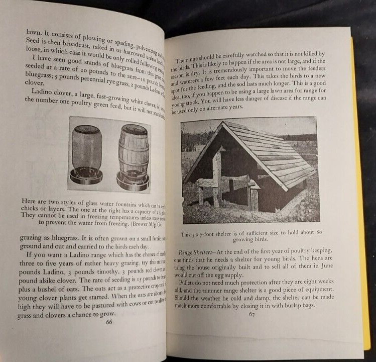 1974 Starting Right With Poultry GT Klein Sixth Printing Raising Chickens