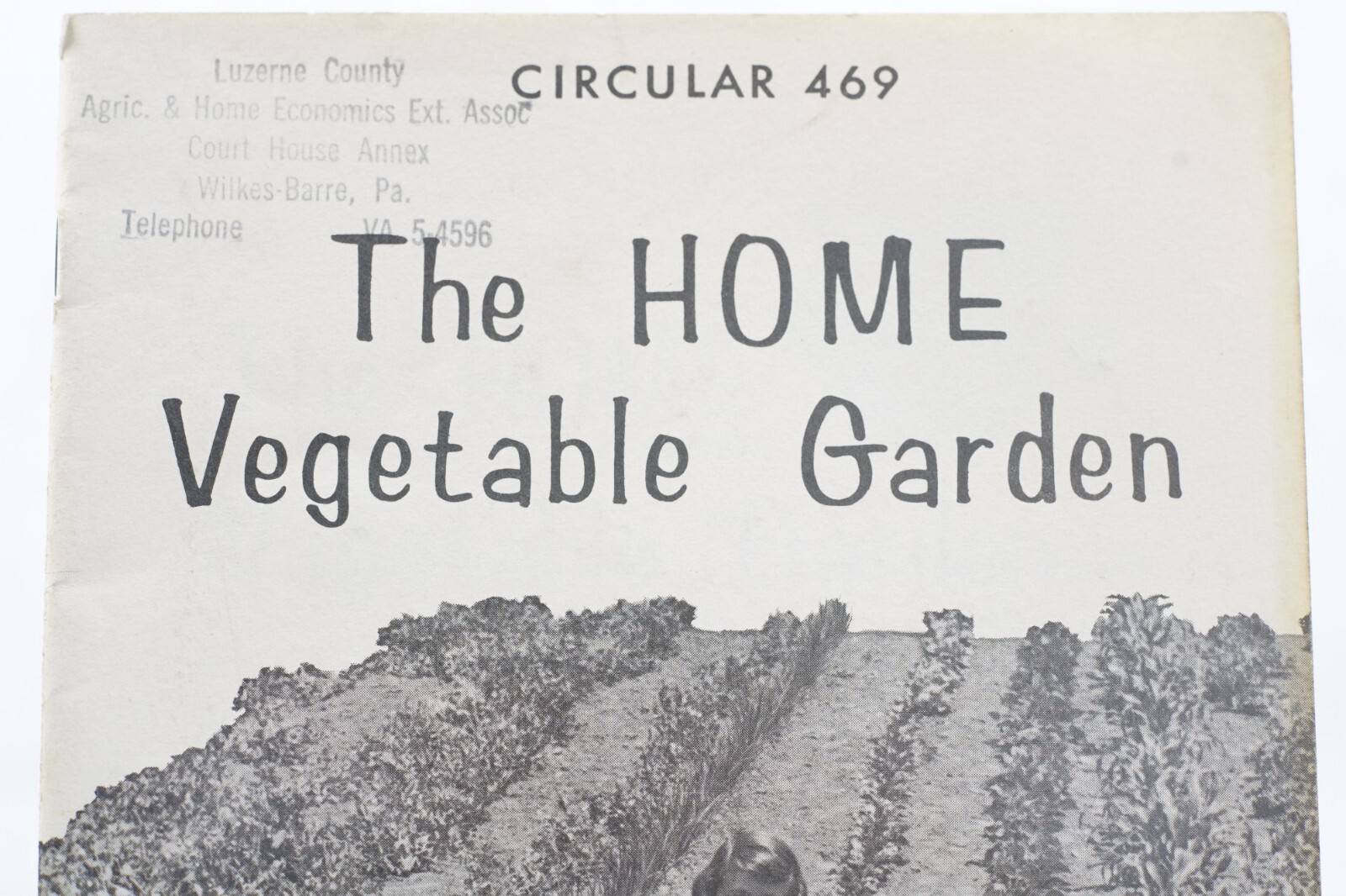 Vintage PA State University College of Agriculture Home Vegetable Garden 469