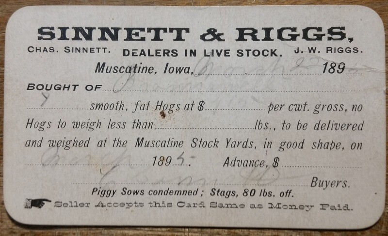 1895 Sinnett & Riggs Live Stock Yards Muscatine Iowa Receipt Proof of Sale Card
