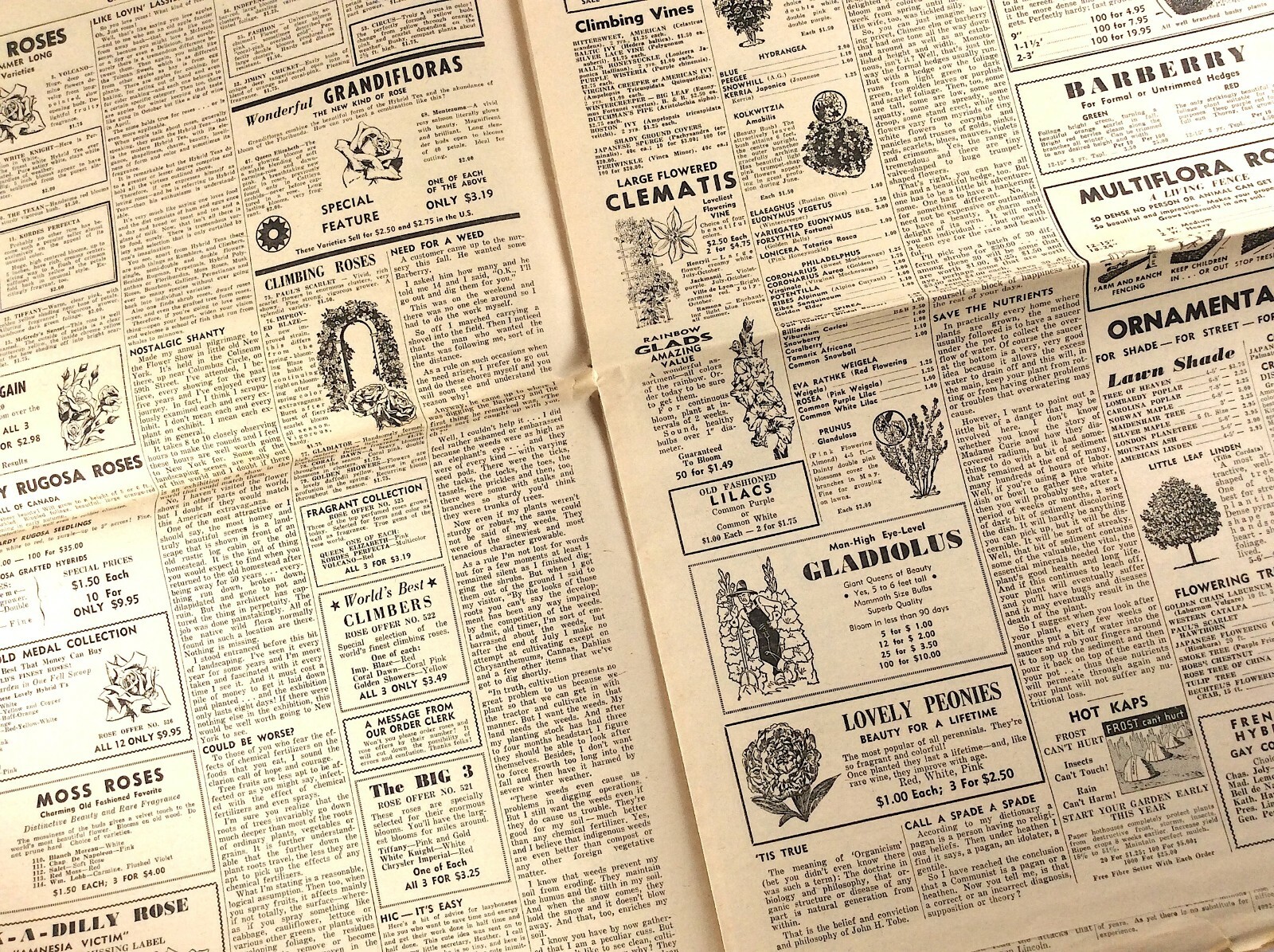 Spring 1963 Growing Flowers Seed Plant Catalog Flyer St Catherines Ontario Q273