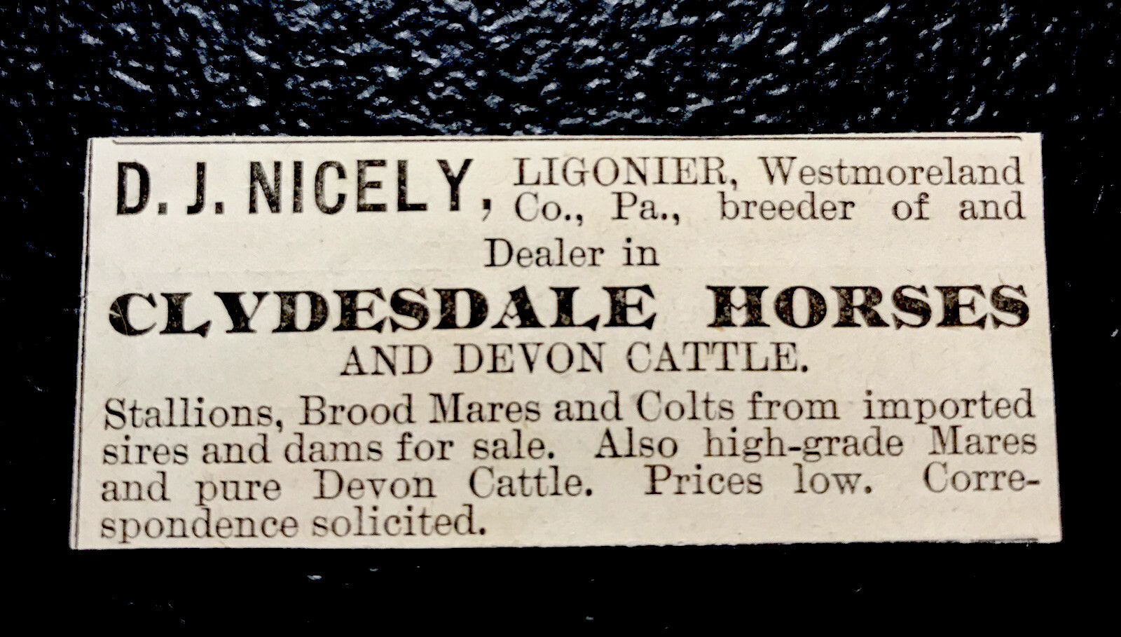 1886 Clydesdale Horse & Cattle Farm Advertising – Ligonier – Pennsylvania