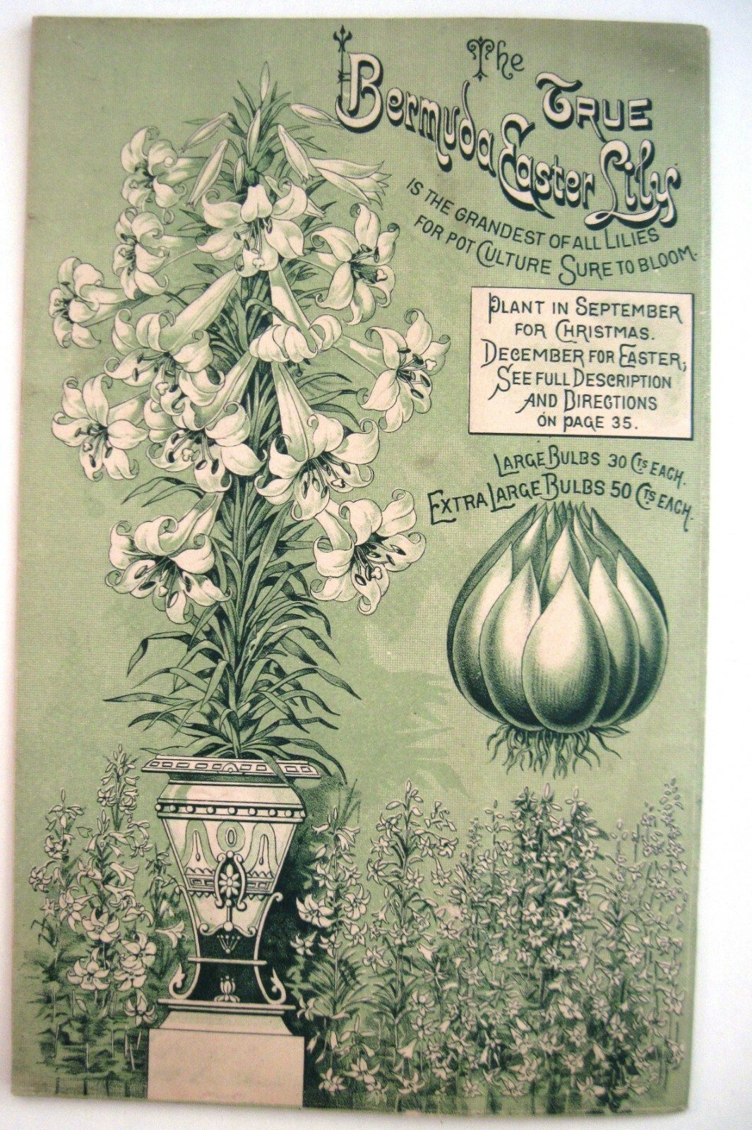 1889 Catalog « New Autumn Guide » for Holland Bulbs, Roses & Lilies & Seeds *