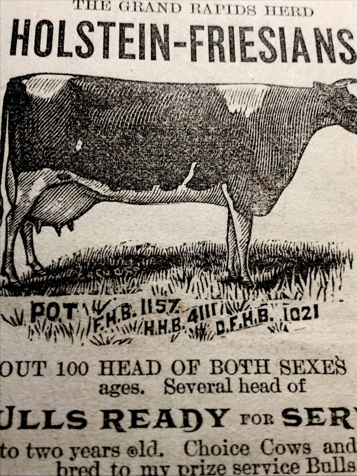 1886 Sweet Cattle Cow Farm Advertising – Grand Rapids – Michigan