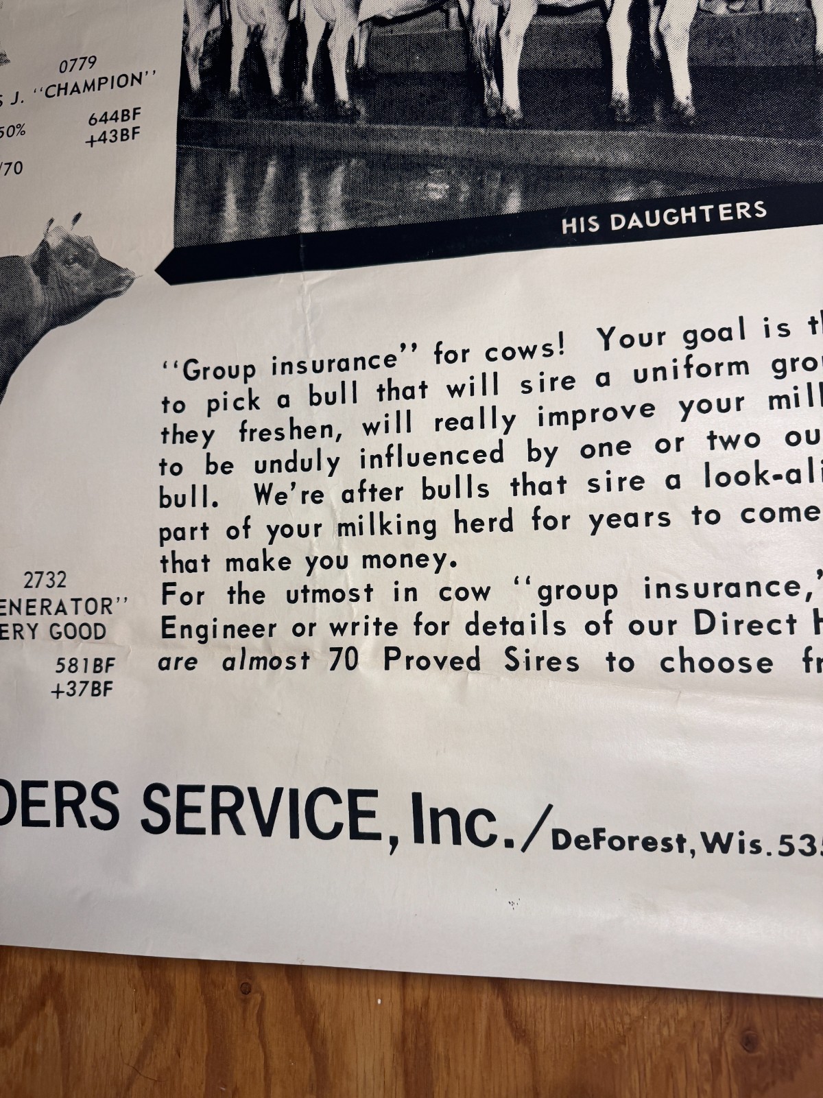 1970 Milk Line Bull Cow Dairy ABS American Breeders Service Advertising Poster
