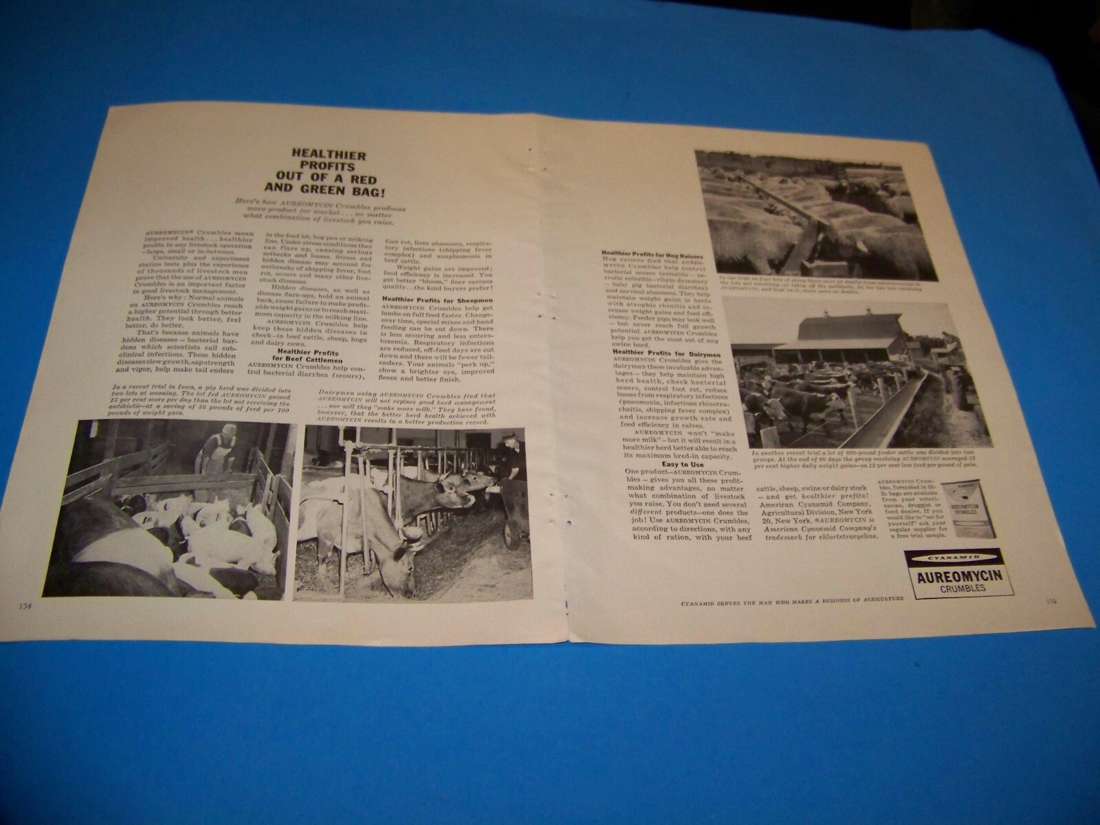 Aureomycin Crumbles Agricultural Print Ad from Magazine Vintage 1960 (Two Page)