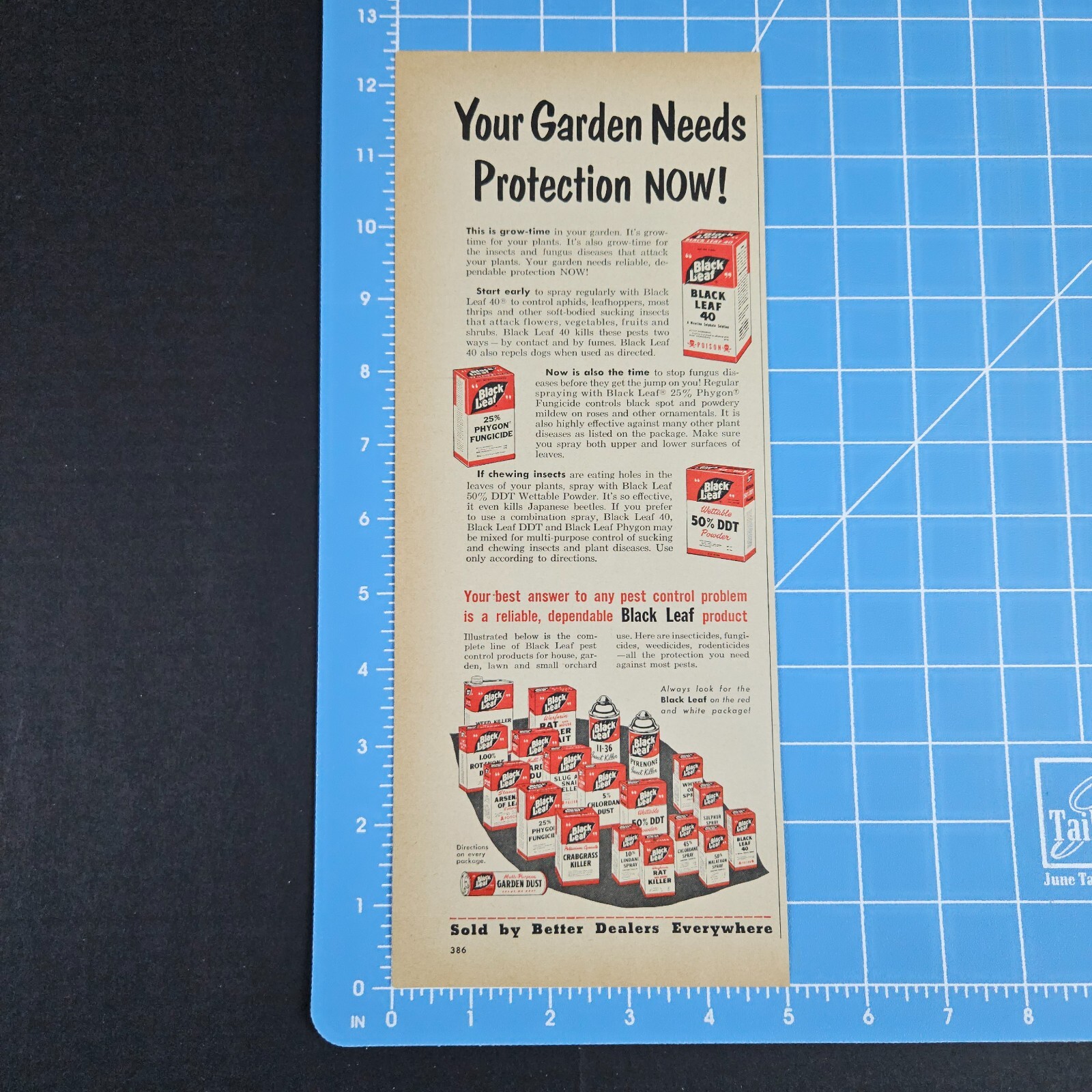 1953 Black Leaf Pest Control Vintage Print Ad Garden Dust DDT Phygon Weed Killer