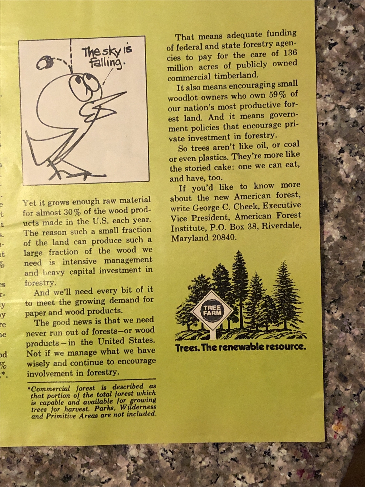 1974 American Forest Institute PRINT AD Run Out of Trees Myth VTG 70s Tree Farm