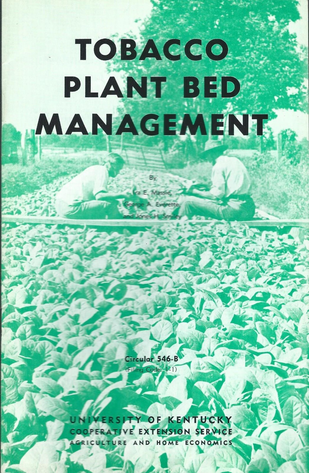 Farm Technical Report – Tobacco Plant Bed Management Kentucky – c1964 (F5588)