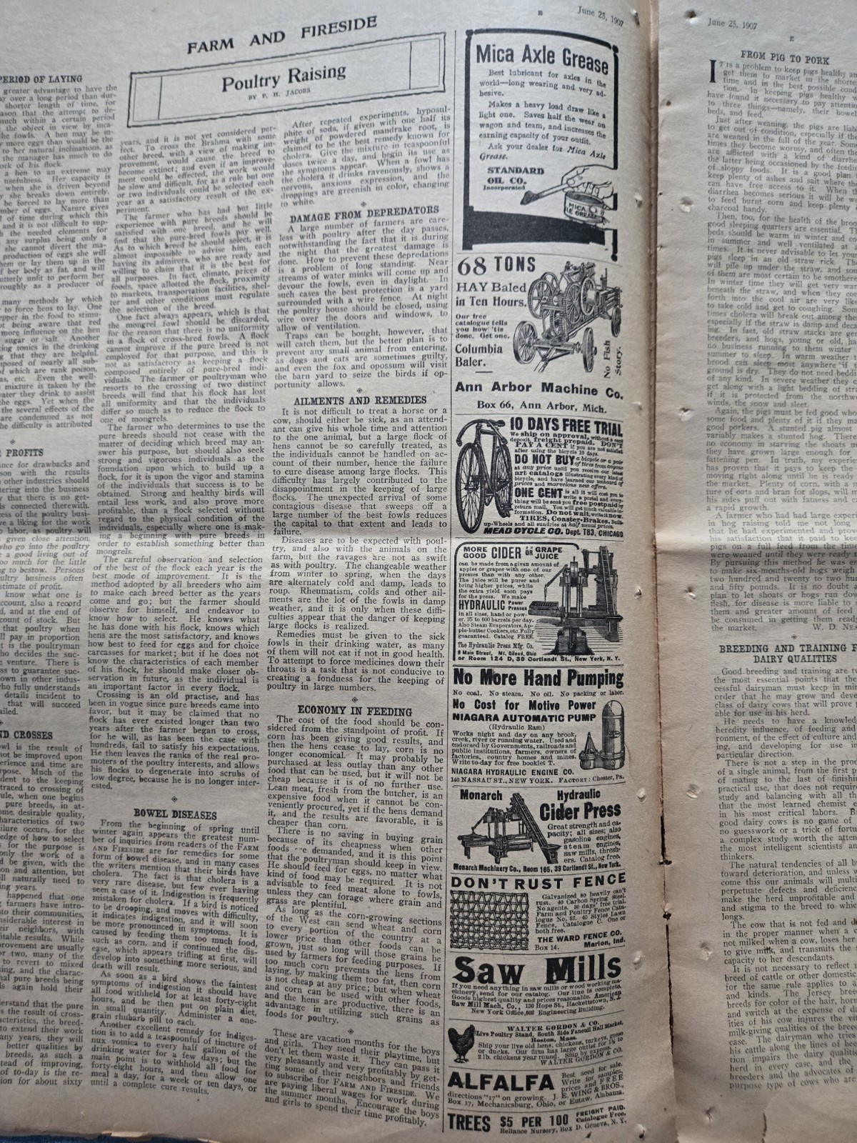 Farm & Fireside Newspaper – Antique Agriculture 1907 Articles Ads Illustrations