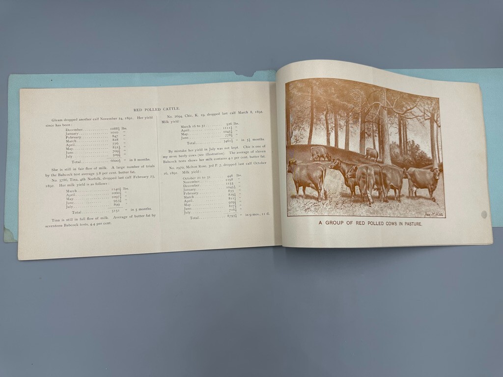 1892 RED POLLED CATTLE Farm Advertising Illustrated HERD BOOK Delaware Ohio