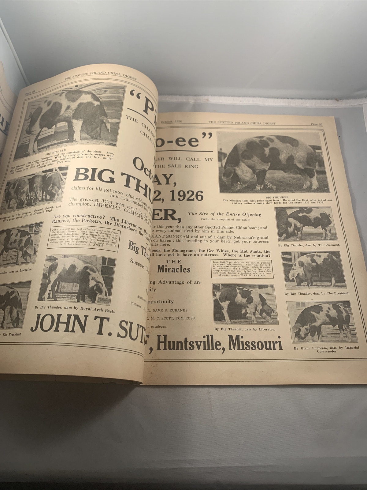 Spotted Poland China Pig Hog Digest October 1926 Missouri Kansas City Catalog