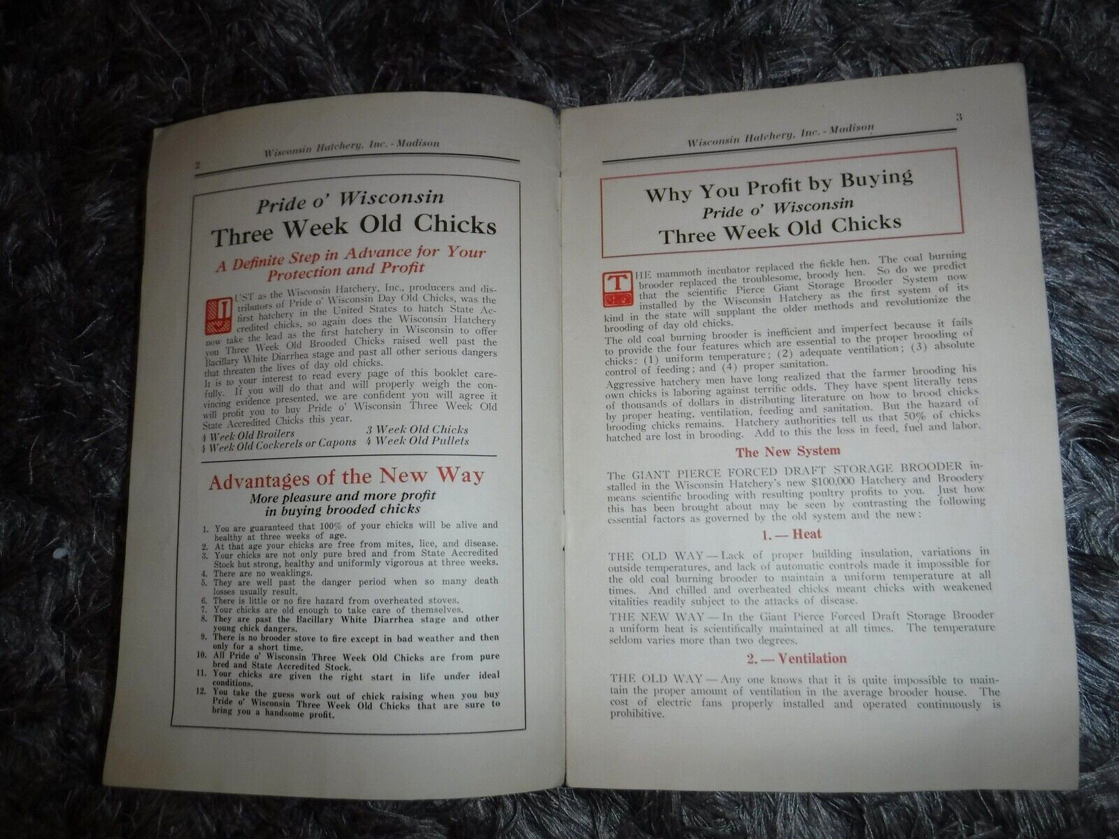 CHICKS CHICKEN WISCONSIN HATCHERY INC. MADISON WISCONSIN VINTAGE 1927 BOOKLET
