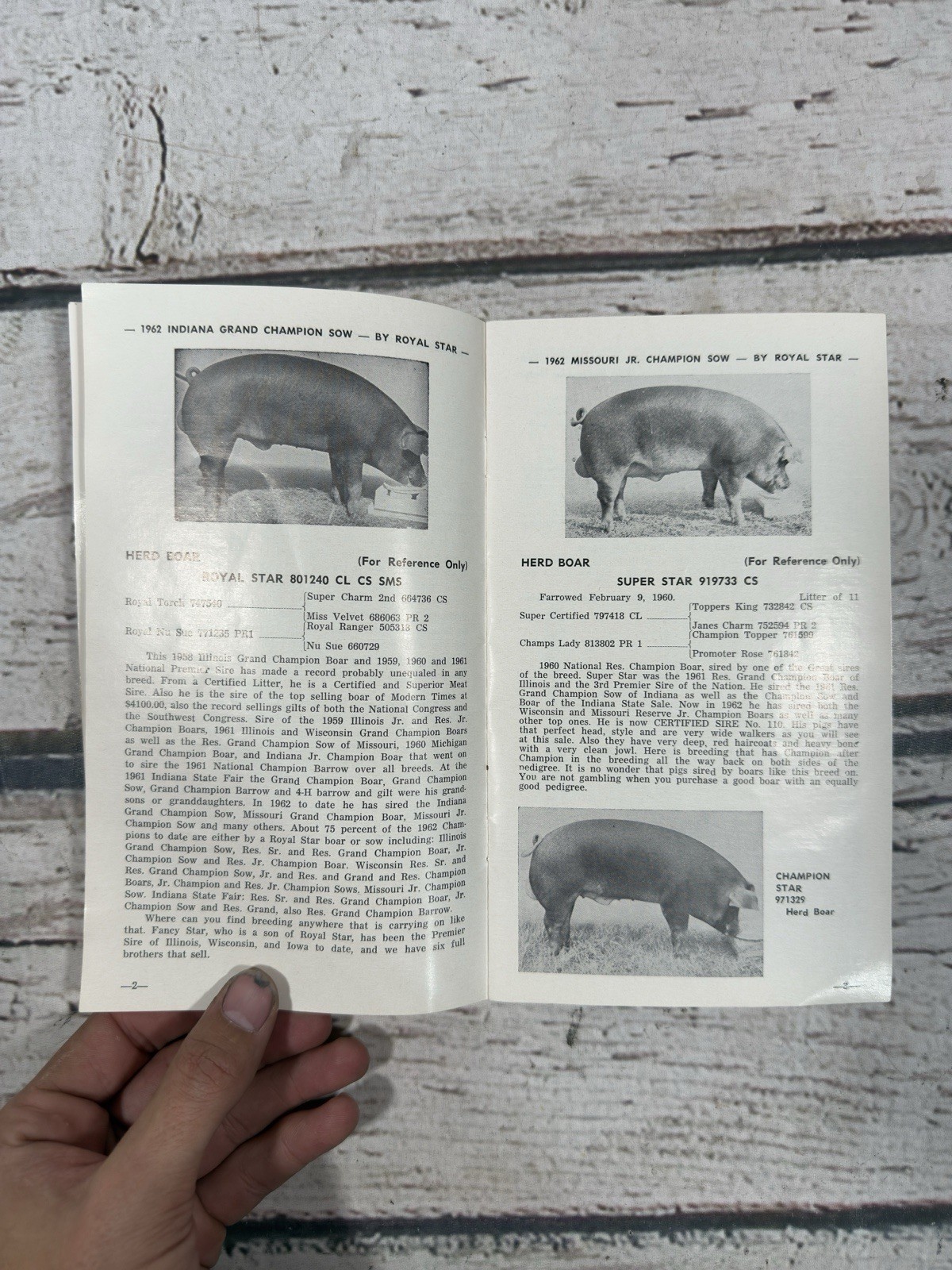 VTG Sale Of Superior Durocs Oral W. Long & Sons Indiana 1962 Pig Auction Booklet