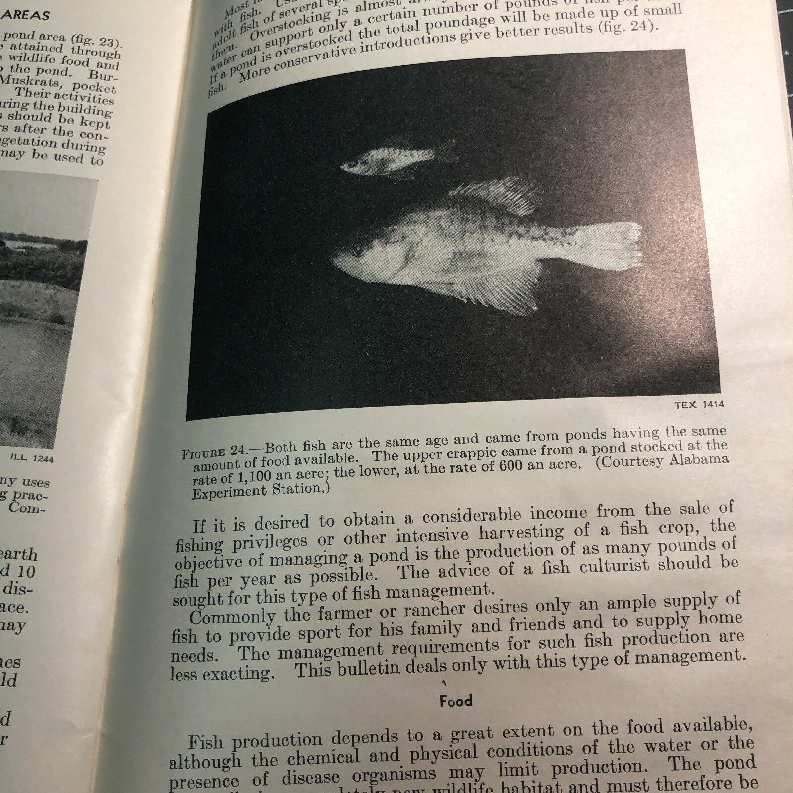1940s Ponds for Wildlife Booklet Farmers Bulletin US Department of Agriculture
