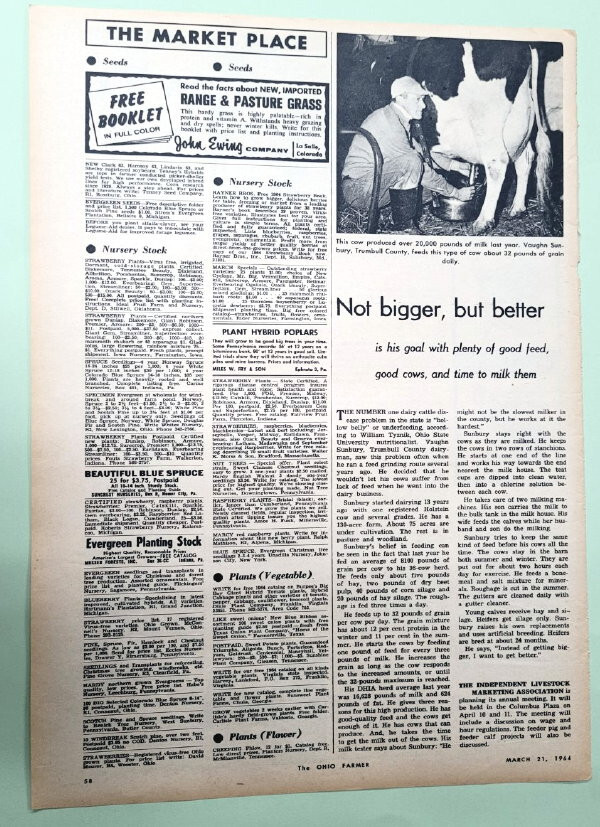 Original 1964 Dairy Article Features Vaughn, Trumbell County Ohio