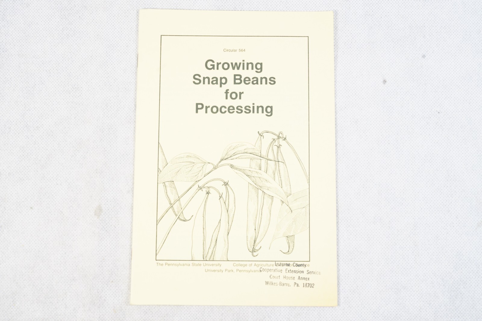 PA State Univ College of Agriculture Growing Snap Beans Processing Brochure 564
