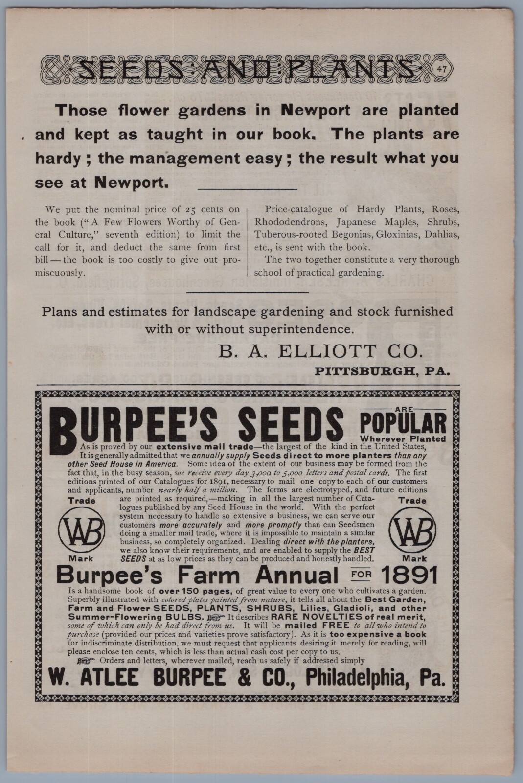 1891 V H Hallock Seed Packets Vintage Ad Margaret Carnation Flowers Gardening