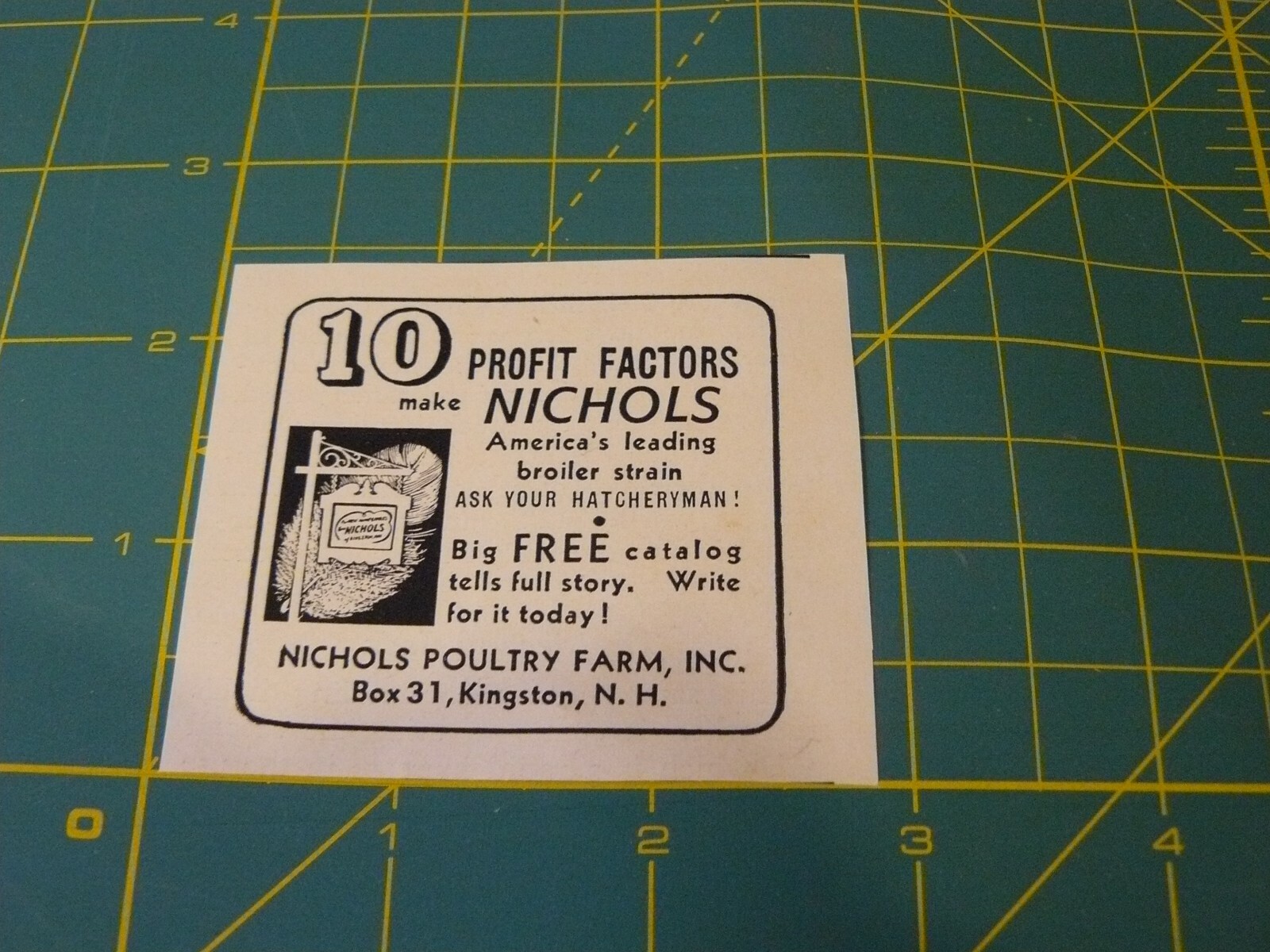 The FARM QUARTERLY -AD -SPRING 1951- Three (3)NICHOLS POULTRY FARM /KINGSTON, NH