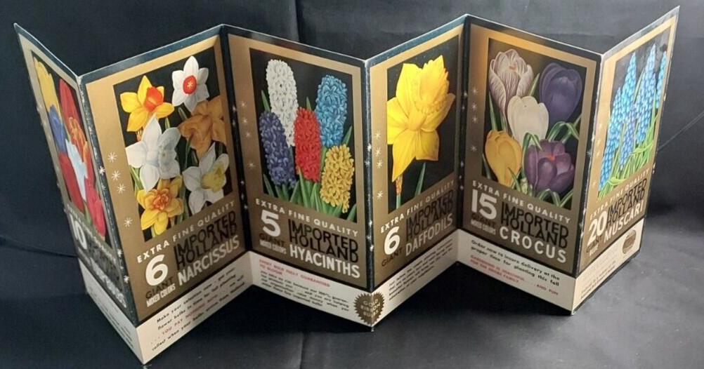 Old Advertising Promotional Folder Associated Bulb Growers Of Holland Tulips
