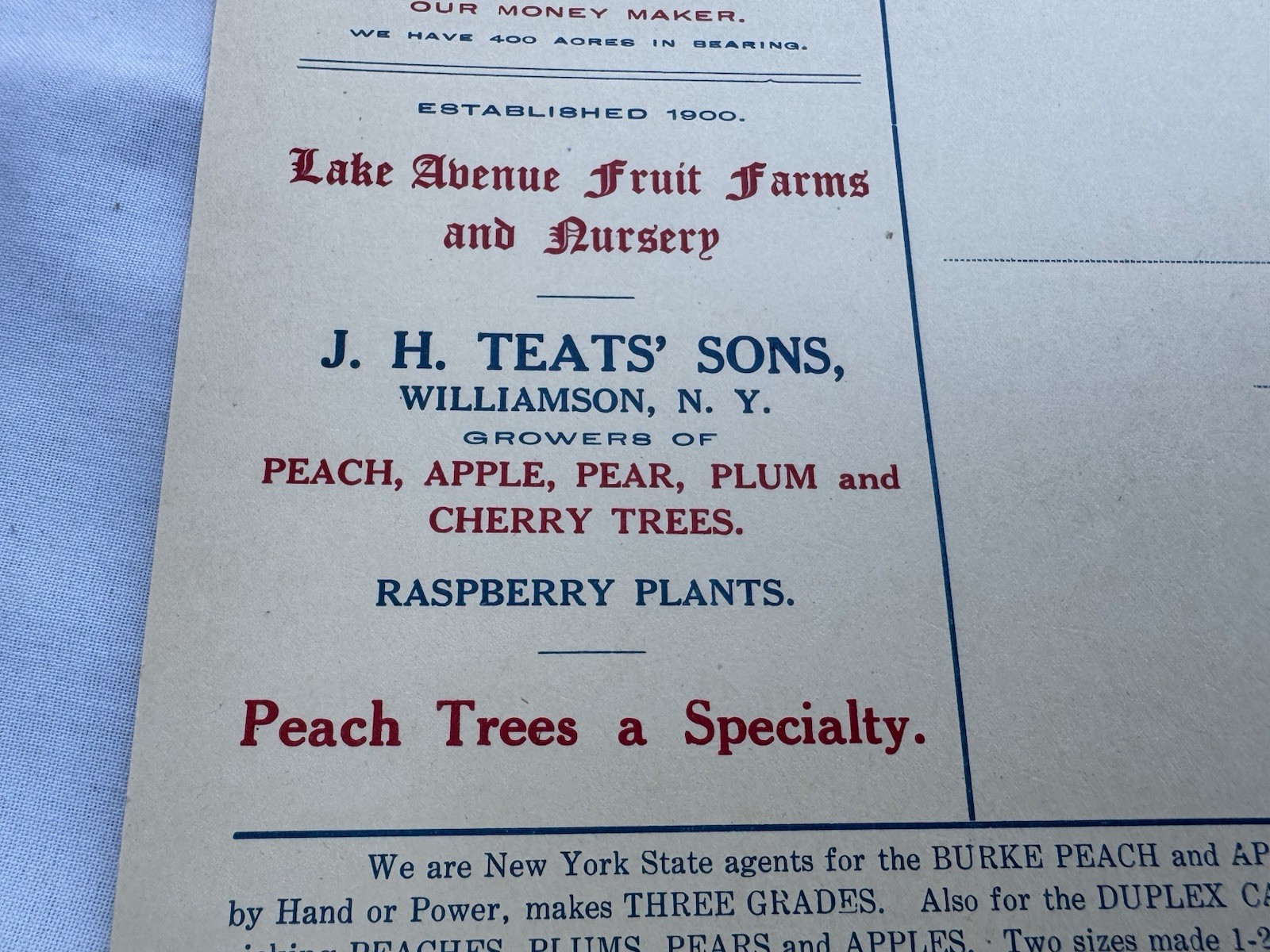 Vintage 1940&rsquo;s Sales Mailer Postcard J H Teat&rsquo;s Sons Williamson NY Peach Apple