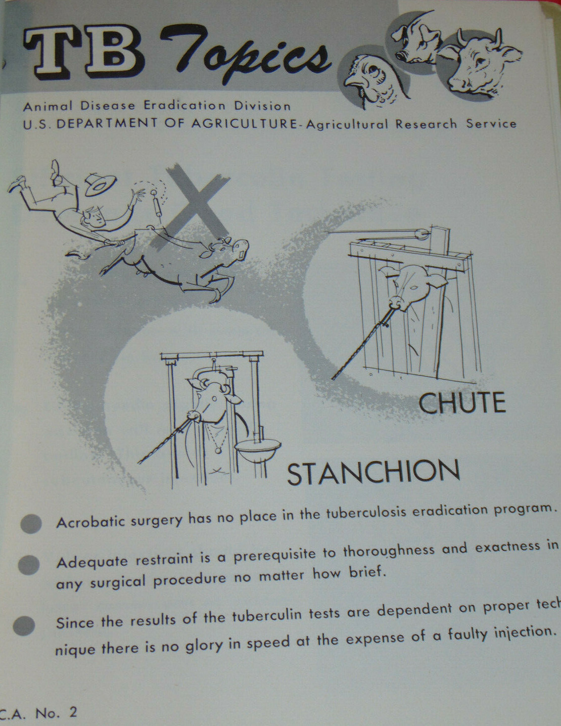 VINTAGE 1950s-60s USDA ANIMAL TUBERCULOSIS ERADICATION TB MANUAL! SMALL POSTERS!
