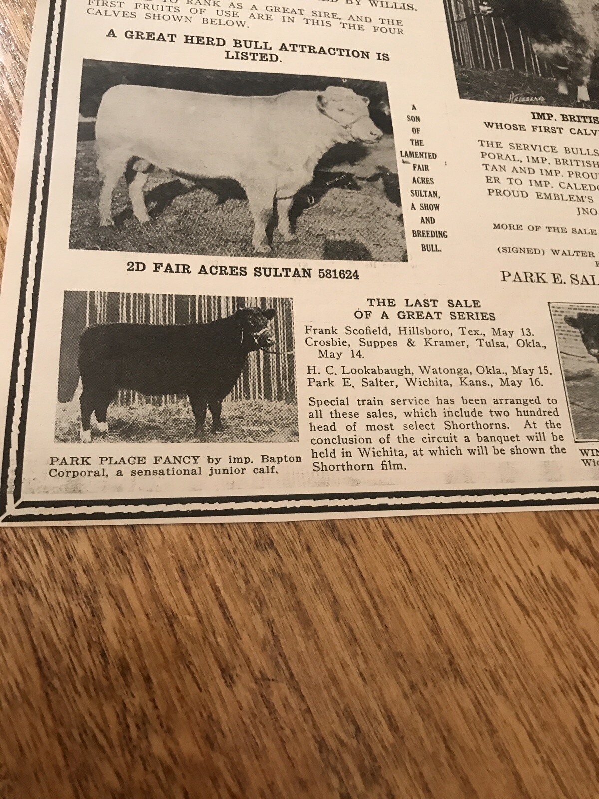 1919 Cattle Livestock Public Sale Poster – Wichita – Kansas – Cow Advertising