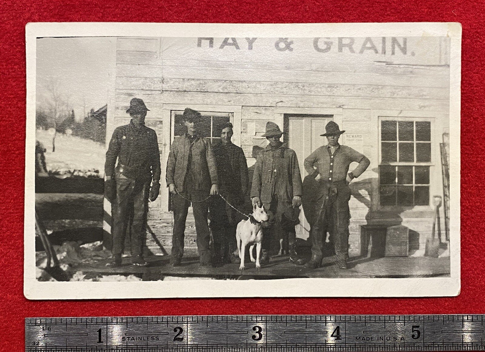 1900c **EARLY HAY & GRAIN STORE** ORIGINAL {UNUSED} REAL PHOTO POSTCARD (RPPC)!