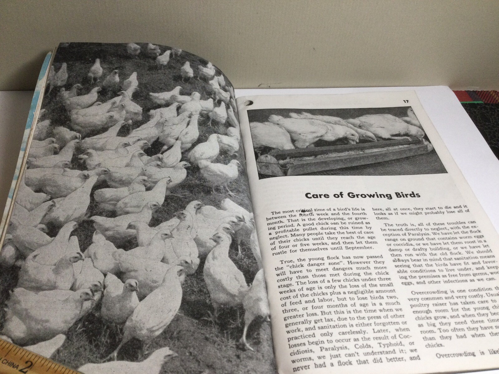 RARE 1948 “THE LEE WAY POULTRY BOOK” FARM GUIDE TO POULTRY HEALTH ILLUSTRATED