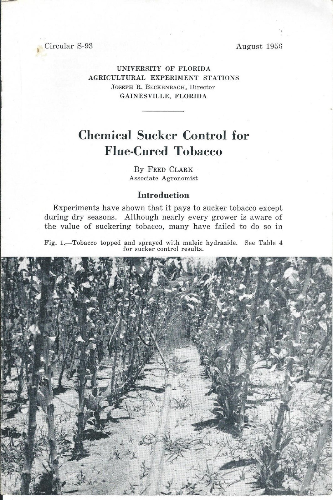 Farm Report – Chemical Sucker Control – Flue-Cured Tobacco – 1956 (F5573)