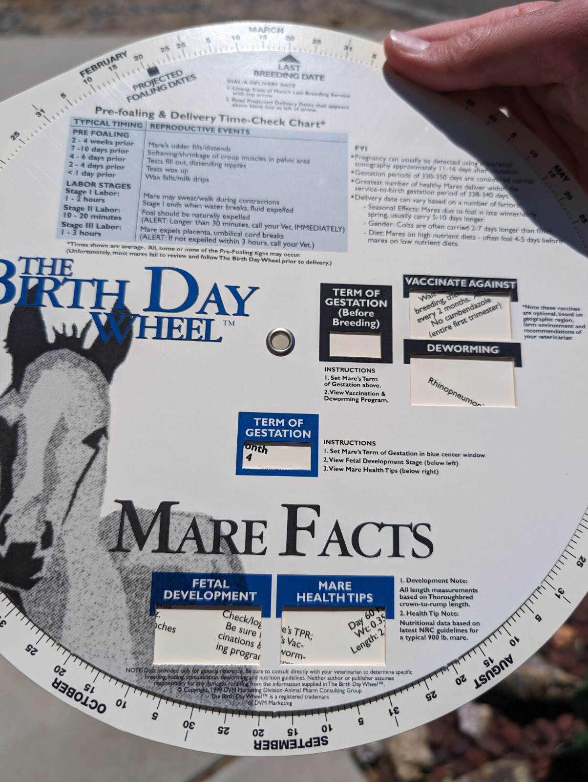 Vintage 1999 Horse Fact Spinner Double Sided The Birth Day Wheel DVM marketing