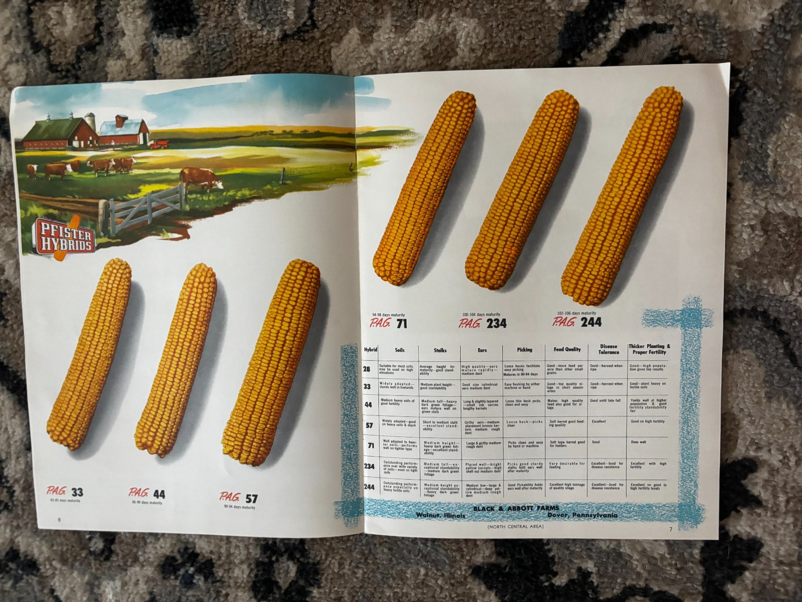 Pfister Hybrids Corn Guide For 1955 Brochure DCPA26