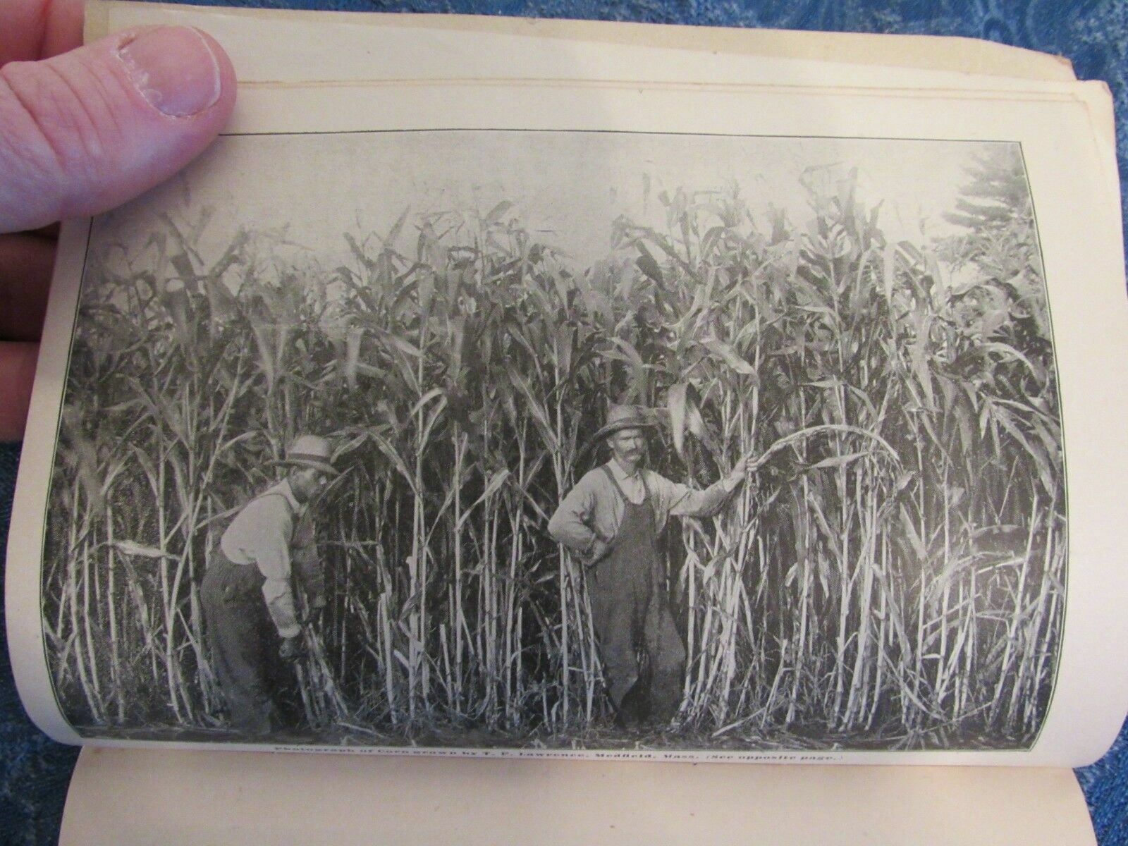 1897 Advertising Booklet Standard Fertilizer Co Boston & Mid Century Planting