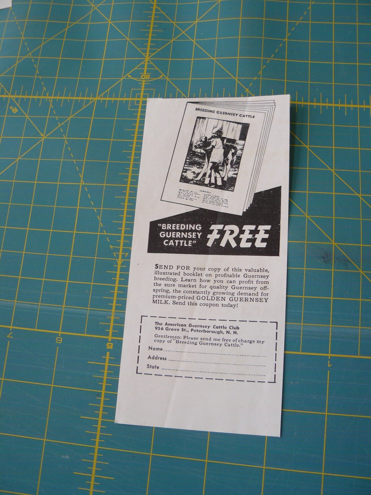 THE FARM QRTLY- Aug 1949 -ad- BREEDING GUERNSEY CATTLE-booklet/ Peterborough, NH
