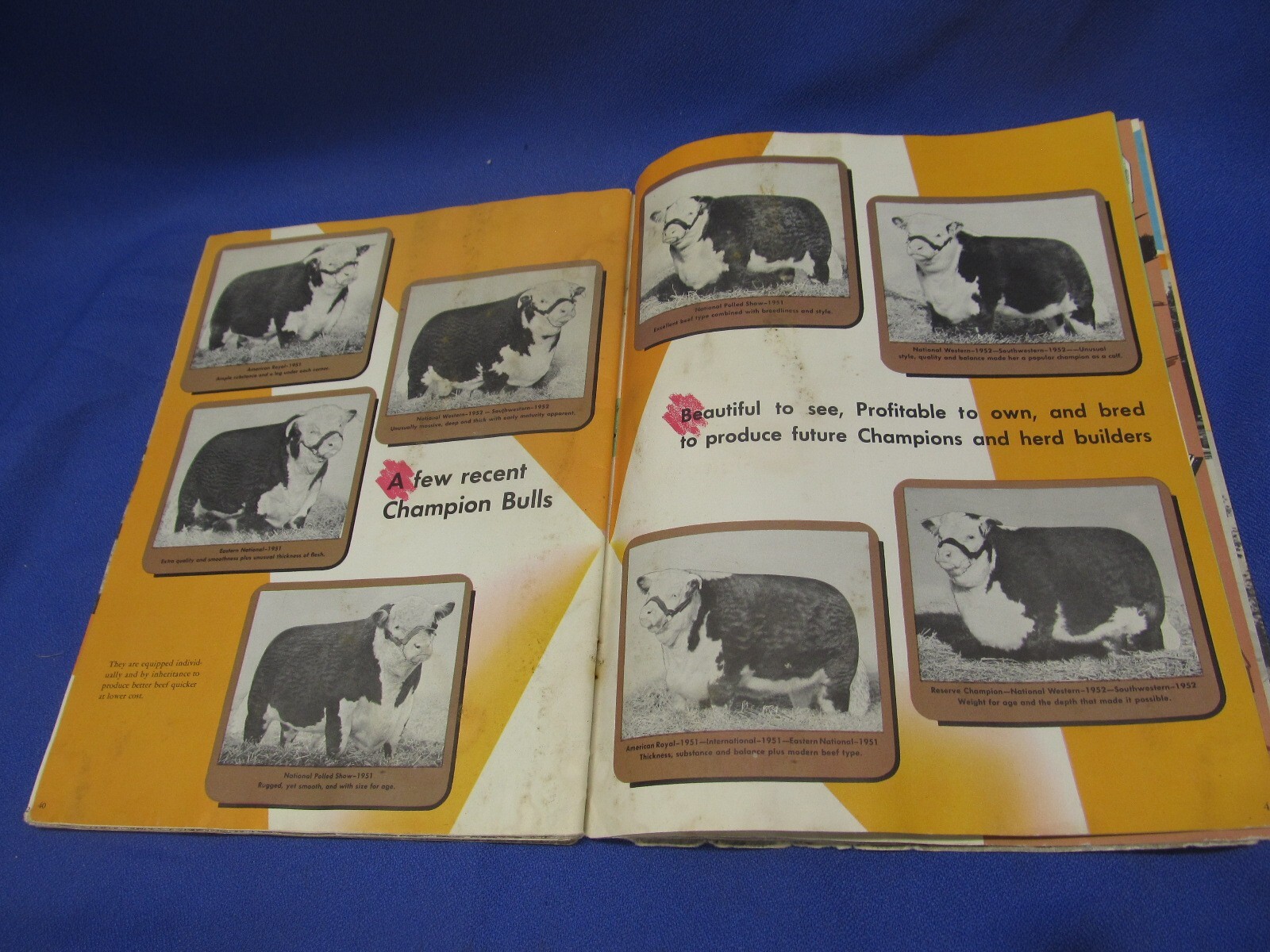 Your Future With Herefords Vintage Cattle Book Beef Cows American Association