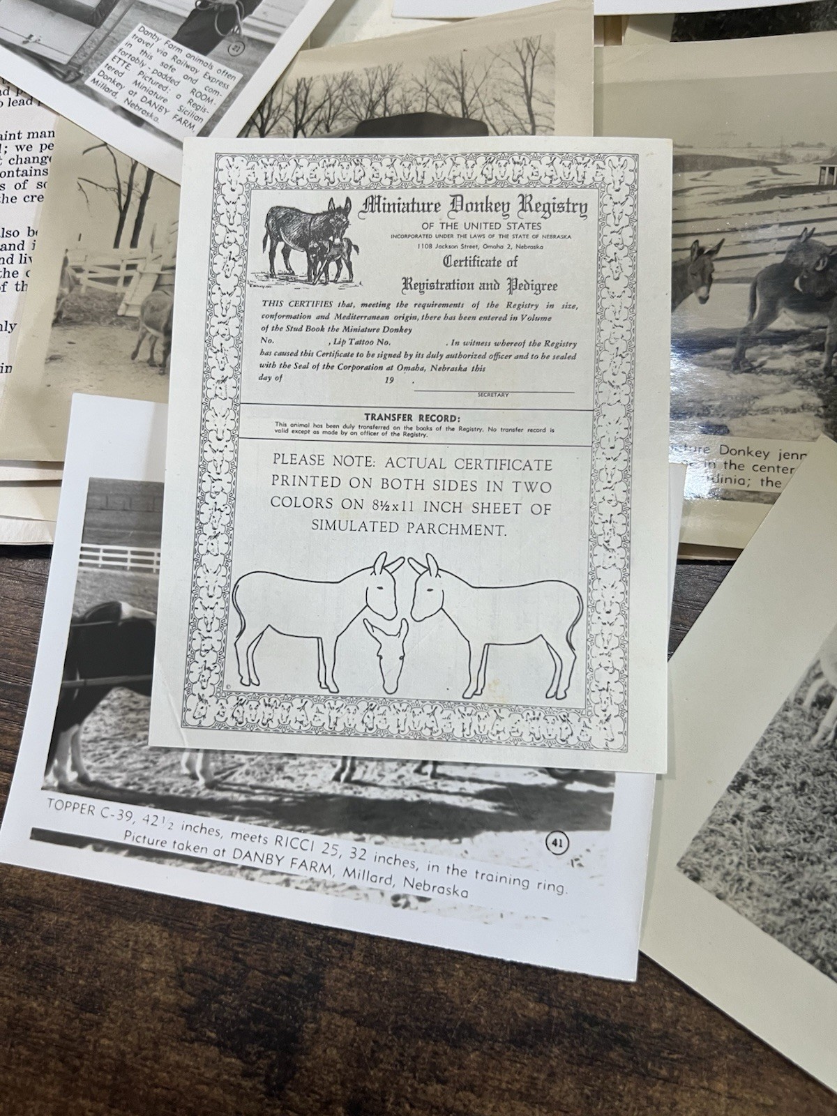 1961 Danby Farm Miniature Donkey Brochure Photo Letter Ephemera Lot