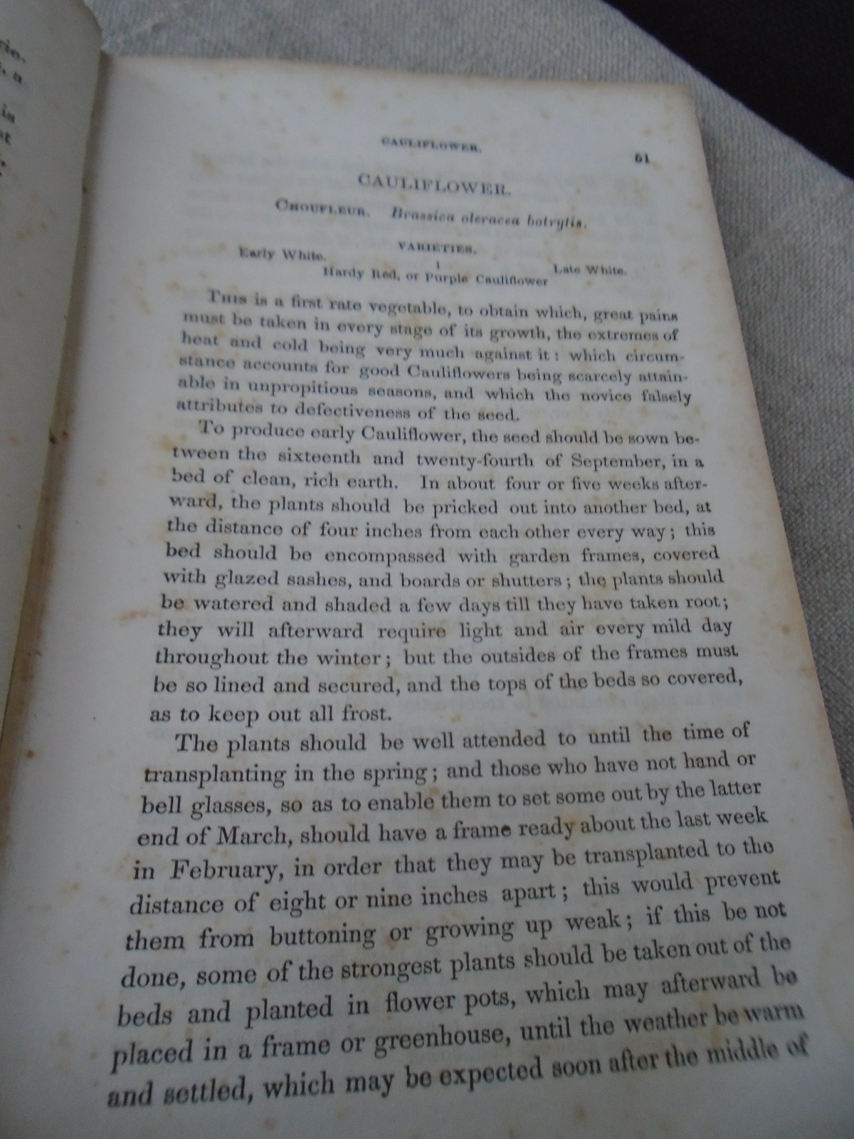 Rare 1857 Seed Catalogue Kitchen Gardner&rsquo;s Instructor Thomas Bridgeman New Ed