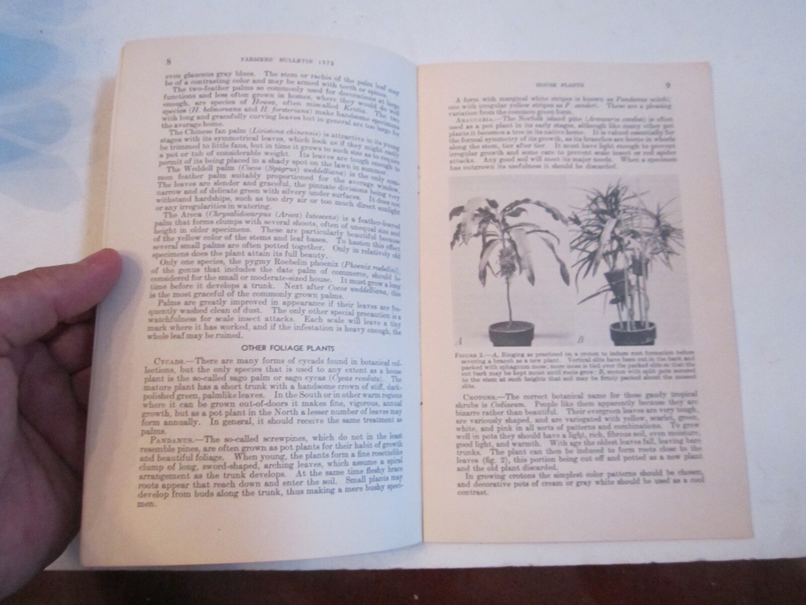 1941 U.S. DEPARTMENT OF AGRICULTURE HOUSE PLANTS BOOKLET – NO. 1872 – CBB