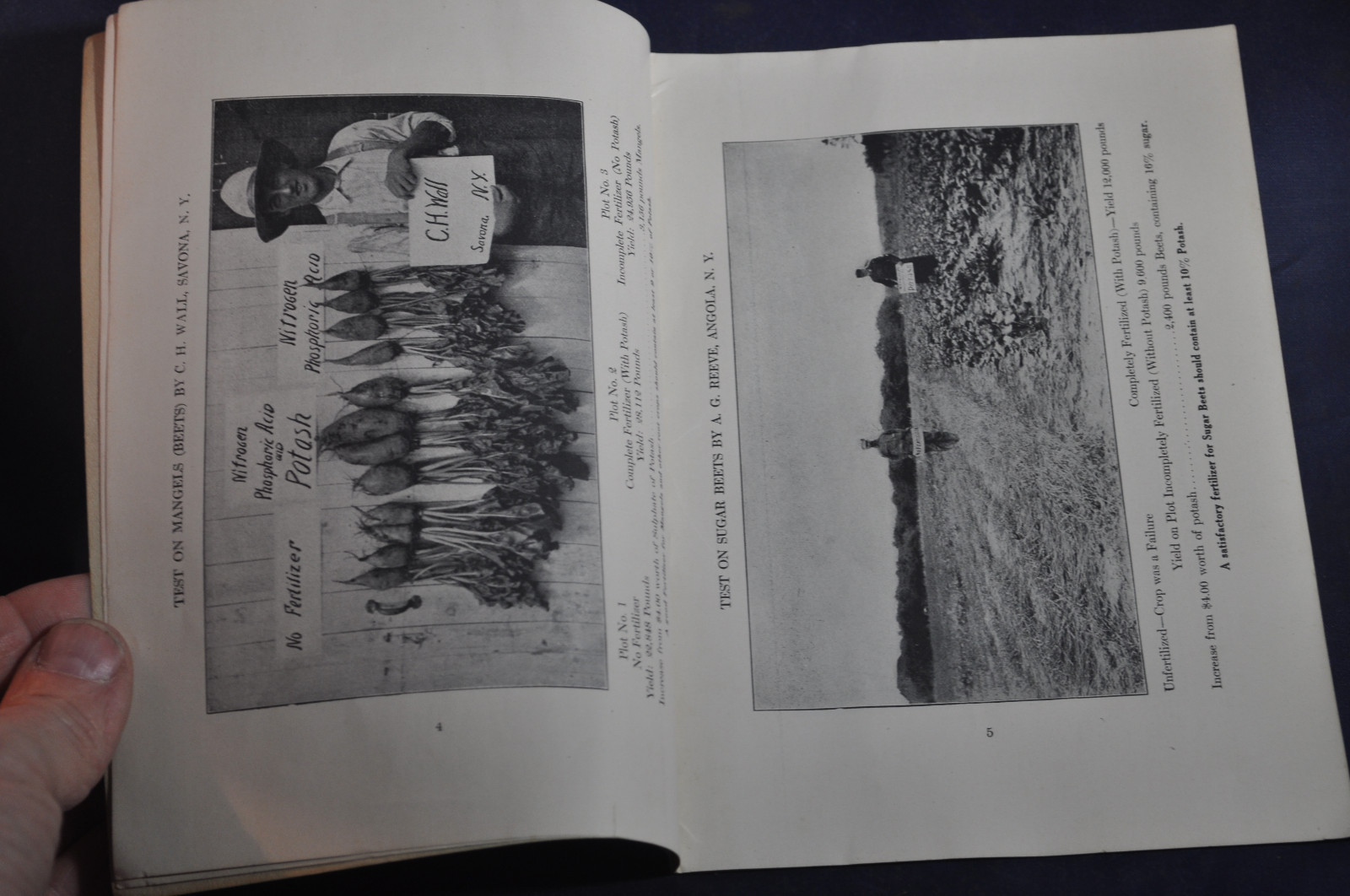 Ca 1920 German Kali Works Brochure on New York Fertilizer Results