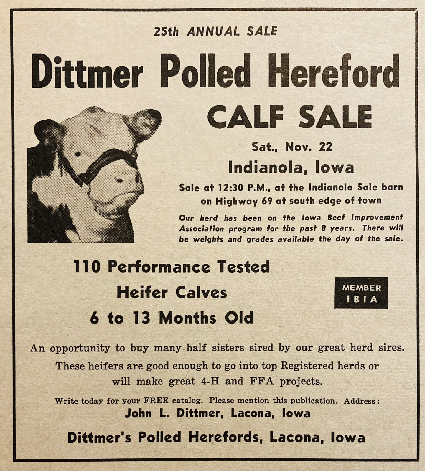 1969 AD.(XH79)~DITTMER POLLED HEREFORD CALF SALE AT INDIANOLA, IOWA. SALE BARN