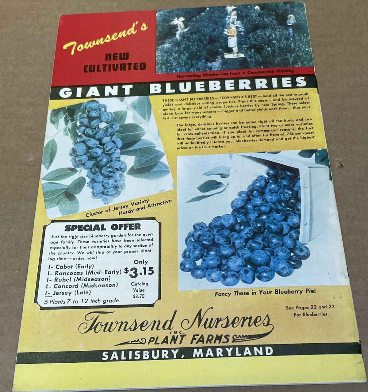 Vtg 1948 1949 Townsend Nurseries Salisbury, Maryland Garden Catalog Lot RARE