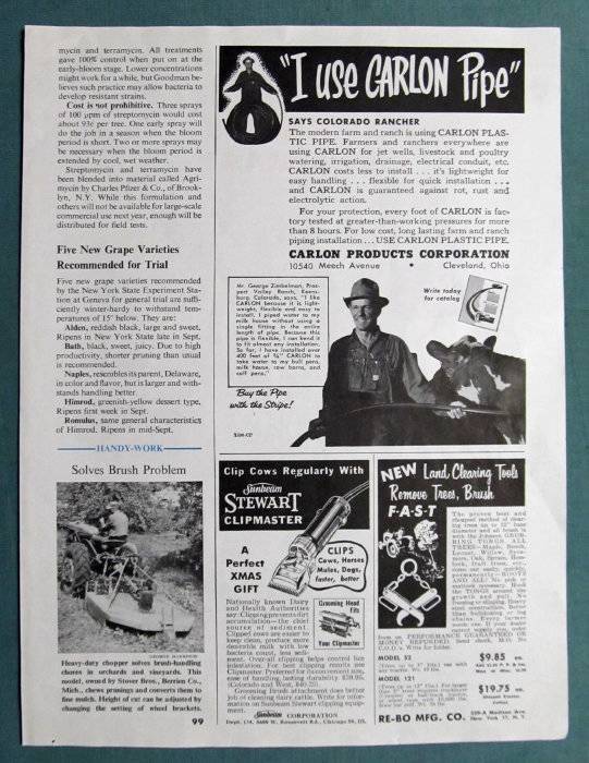 1953 Magazine Carlon Pipe Ad Photo Endorsement George Zimbelman of Keensburg CO