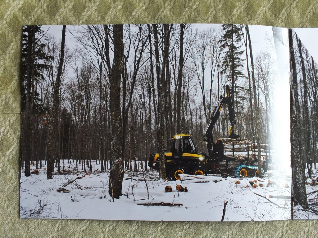 PONSSE BUFFALO Forwarder Forestry Equipment Brochure 2020