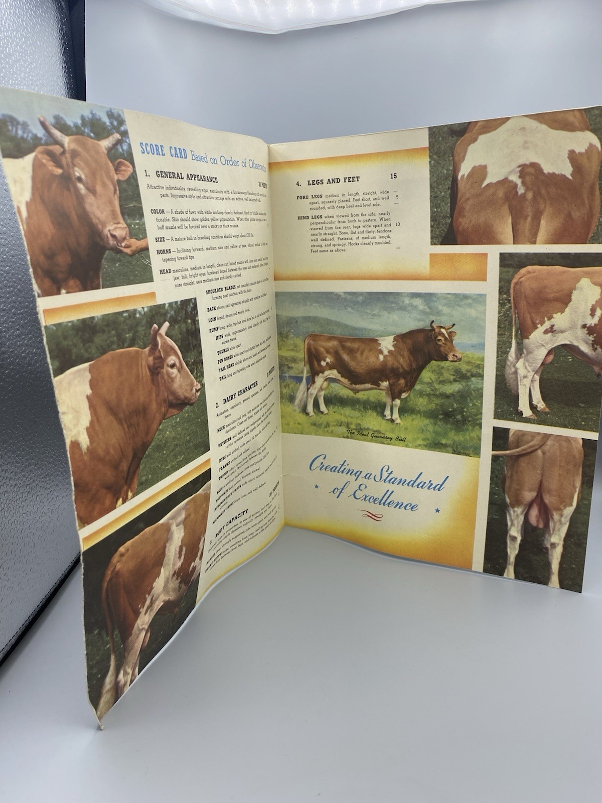 American Guernsey Cattle Club Booklet « Creating a Standard of Excellence »