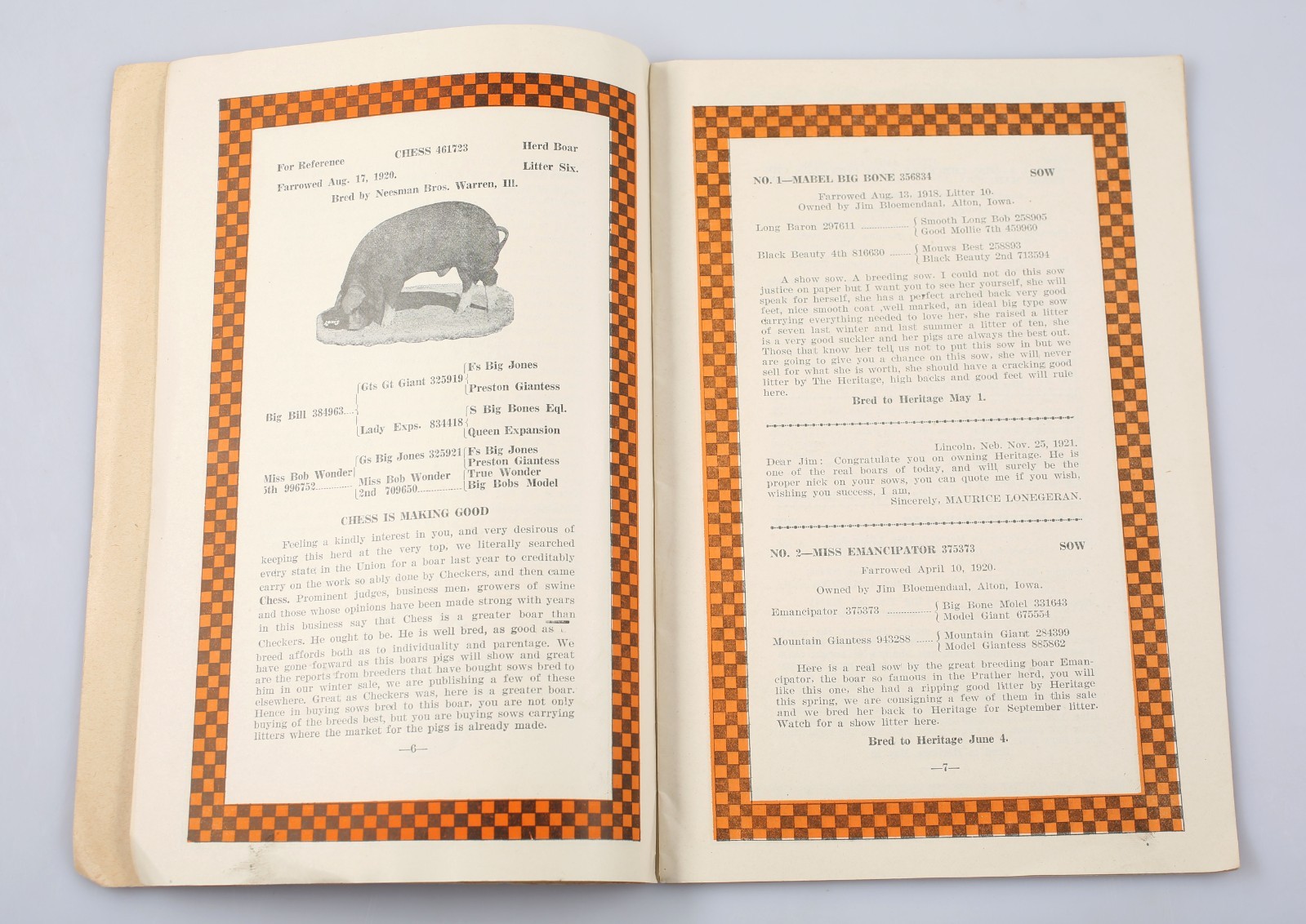 Vintage 1922 Heritage and Chess Poland China&rsquo;s Sow Hog Sale Program Alton Iowa