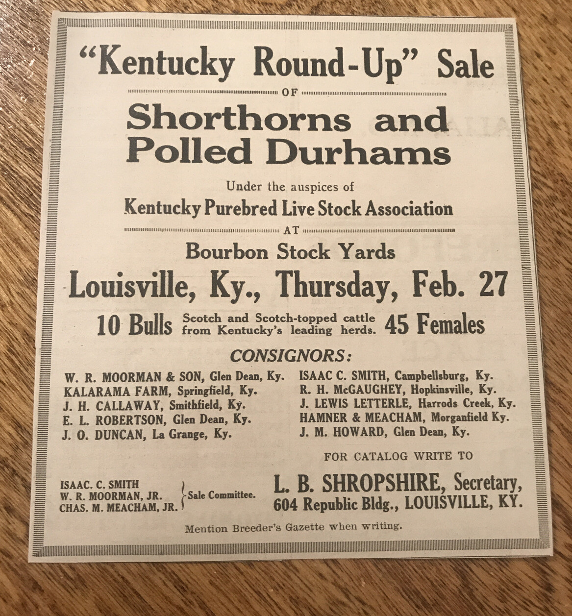 1919 Cattle Livestock Public Sale – Louisville – Kentucky – Cow Advertising